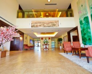 elderly care services