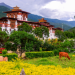 Bhutan Tour From Singapore: What You Need to Know
